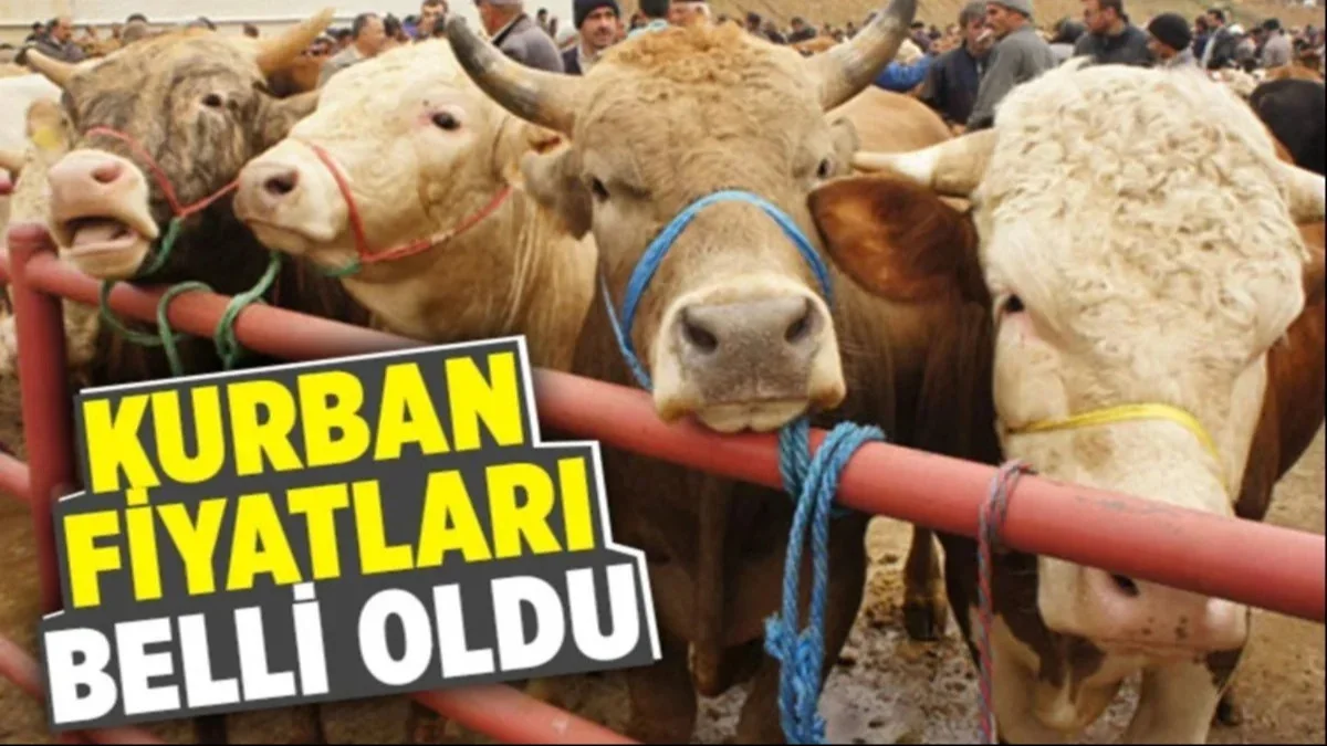 Kurban Piyasasında Son Durum! Fiyatlar Resmen Açıklandı - Gündem Haberleri